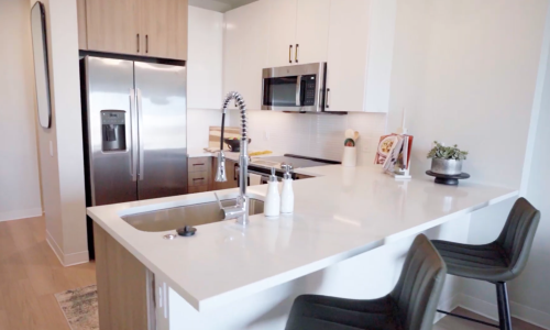 The Alcott Kitchen Features